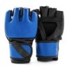 MMA Gloves