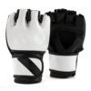MMA Gloves