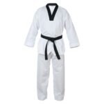 Taekwondo