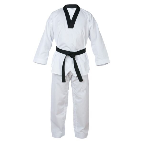 Taekwondo