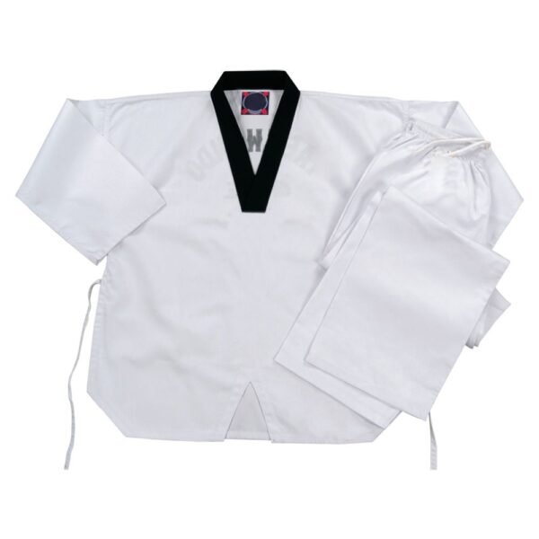 Taekwondo