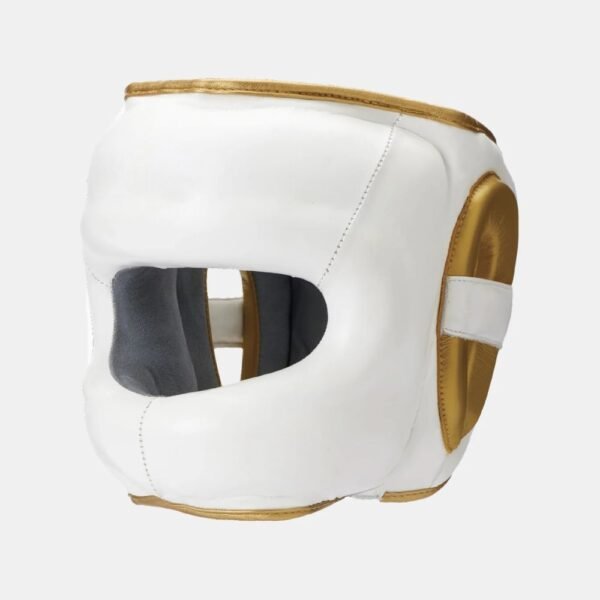 MMA Head Guard